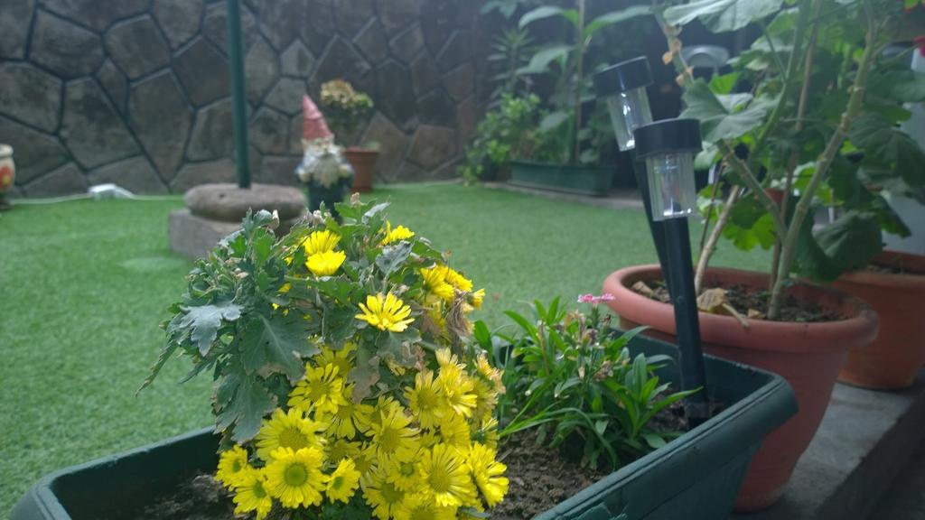 سانتياغو Bed & Breakfast Blumen Haus المظهر الخارجي الصورة