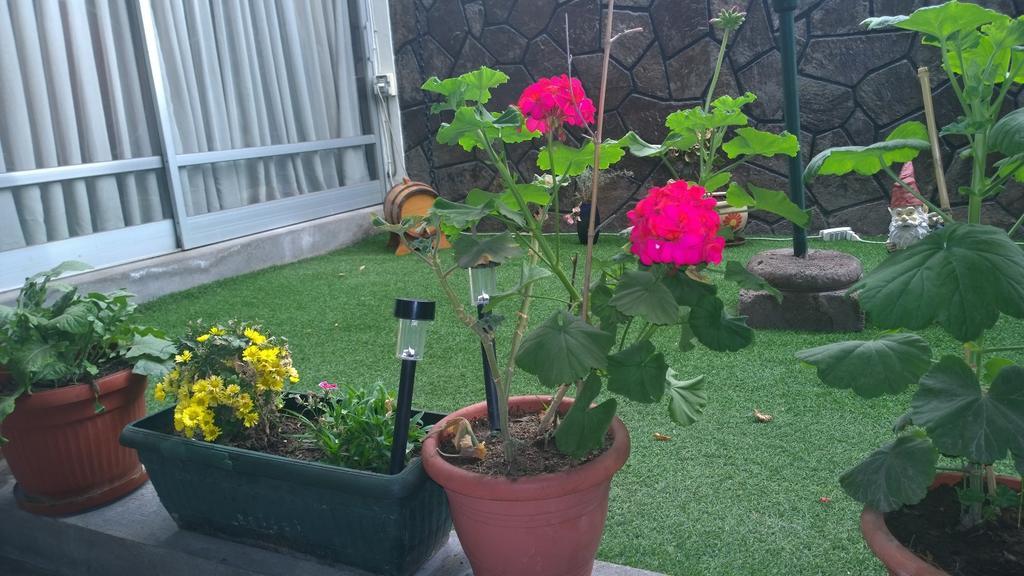 سانتياغو Bed & Breakfast Blumen Haus المظهر الخارجي الصورة