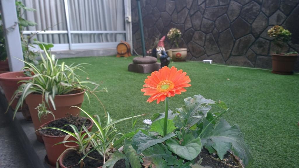 سانتياغو Bed & Breakfast Blumen Haus المظهر الخارجي الصورة