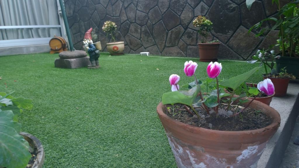 سانتياغو Bed & Breakfast Blumen Haus المظهر الخارجي الصورة
