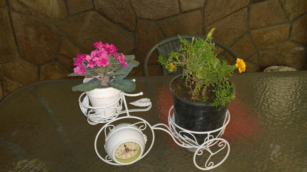 سانتياغو Bed & Breakfast Blumen Haus المظهر الخارجي الصورة